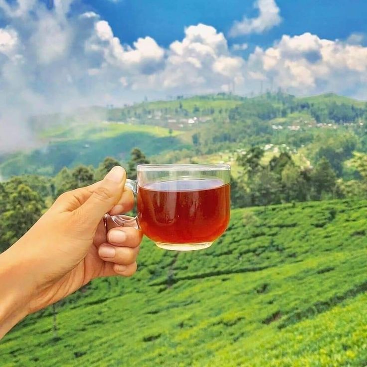 Ceylon Tea - Sri Lanka