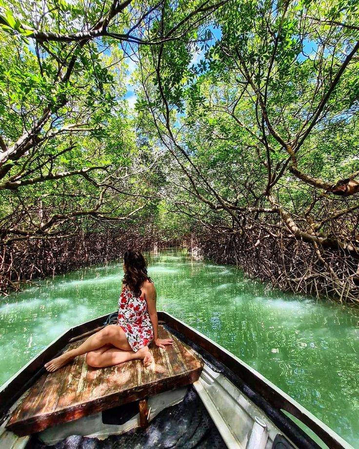 Madu River Safari, Balapitiya