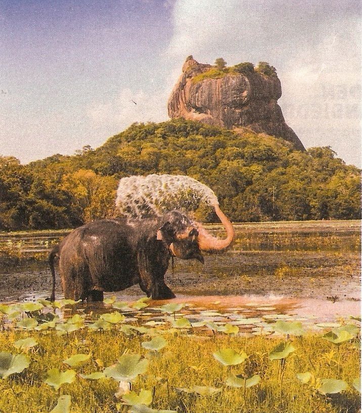 Sigiriya