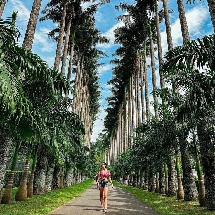 Peradeniya Botanical Gardens