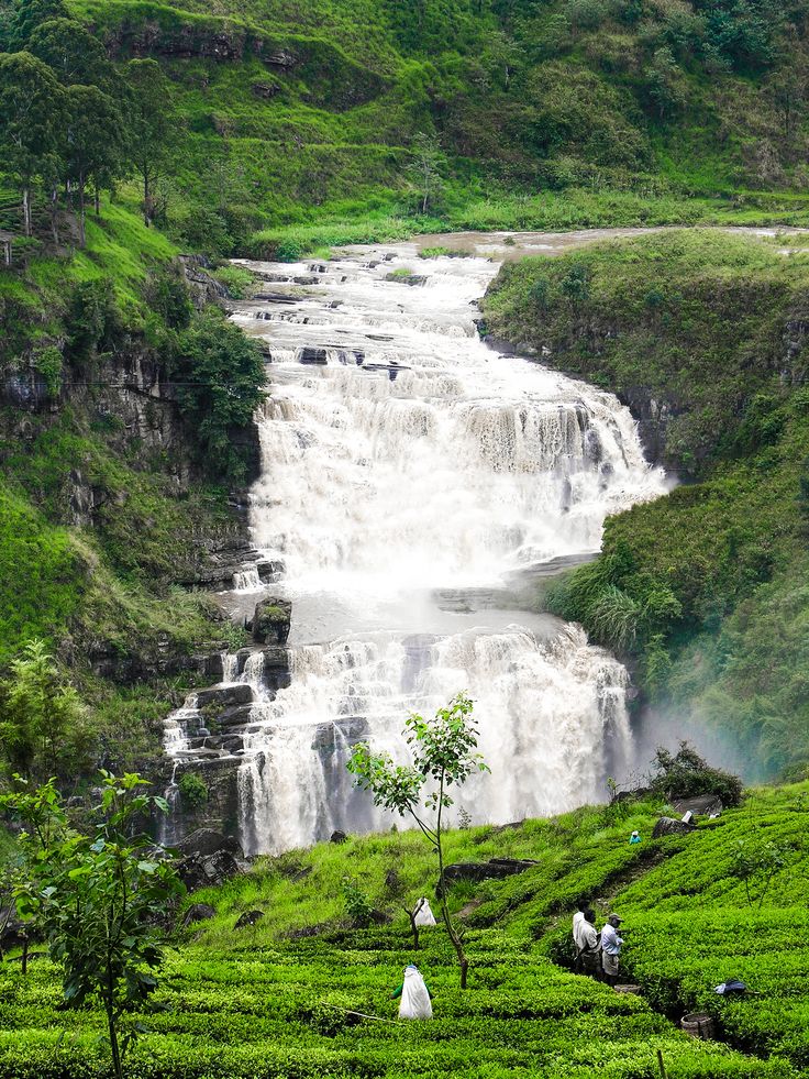 The St. Claire Waterfall, Nuwara Eliya