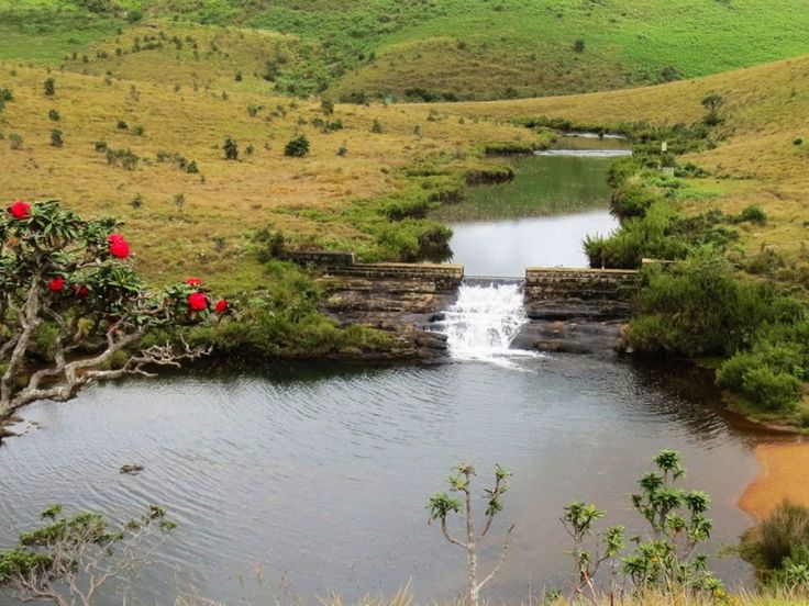Horton Plains National Park, Sri Lanka