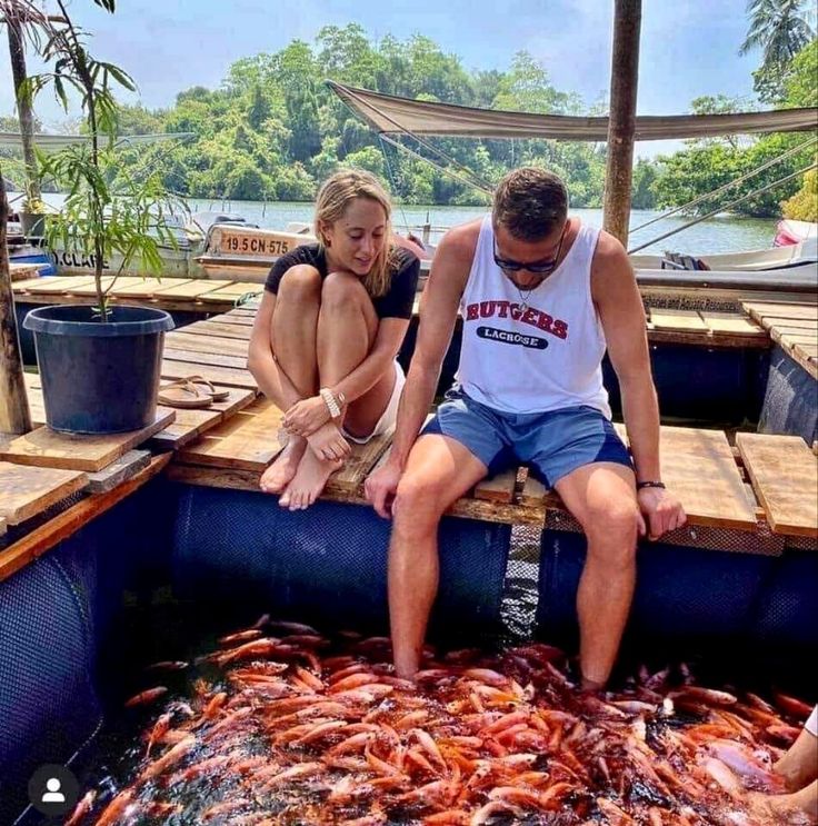 Madu River Safari, Balapitiya